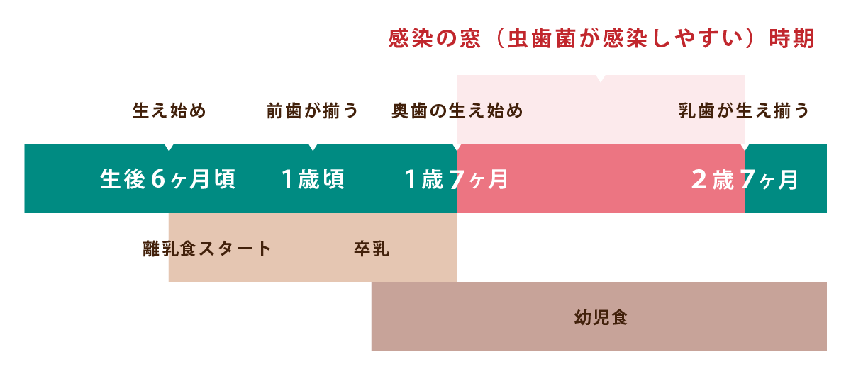 マイナス1歳からの予防 東京都新宿区で歯科予防メインテナンス 予防よくわかるサイト